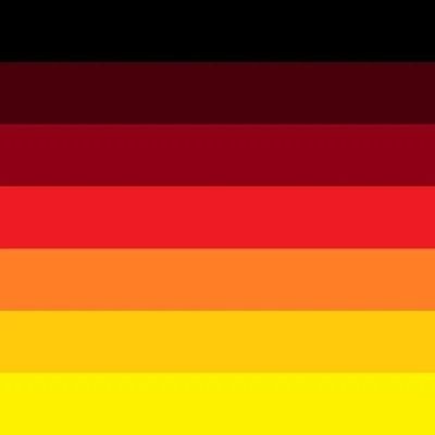 #Kirk wurde zum Märtyrer. Fly high and RiP #Linke_abwaehlen
Nur noch #AfD