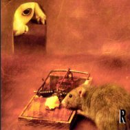 sogtastic's profile picture. 