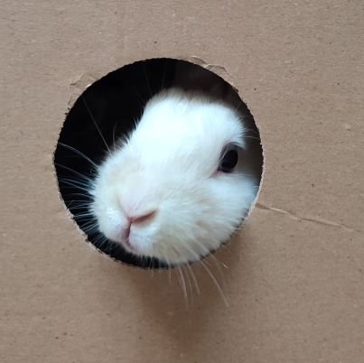 lmrao_7's profile picture. cuenta inactiva