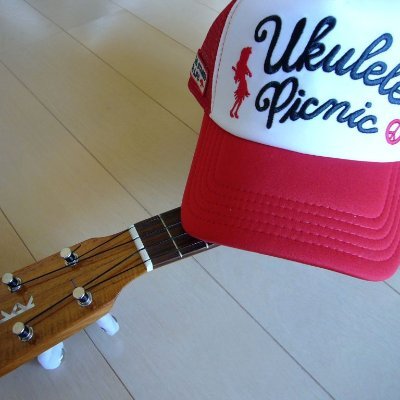 yuru9uku's profile picture. ゆるウク ウクレレ教室主宰
主に超初心者の方に、J-POP、洋楽, フラソングの弾き語りやソロ弾きなど、ウクレレが上手くなるコツをレッスン中。
東京と八ケ岳南麓の山小屋で二地域居住、3歳でウチに来た元保護犬の柴犬ふうか（享年15歳）といつも心💛は共に☺️
美味しい珈琲を飲みながら、のんびりウクレレを弾いています。