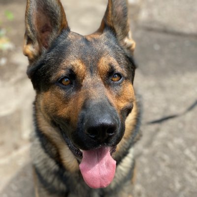 Tim903's profile picture. Akl留子