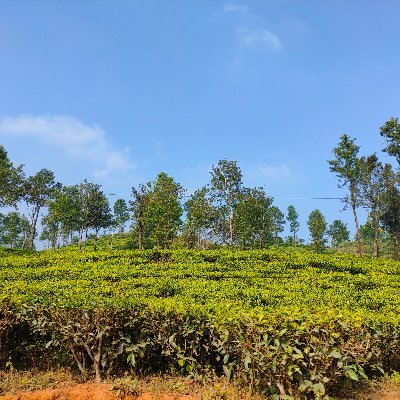 zeherilinagin's profile picture. I am CRYPTO investor and NFT collector