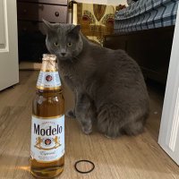 Duboff (@plohoimalchick) 's Twitter Profile