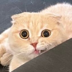 ใช้ชีวิตให้เหมือนทุกวันเป็นวันศุกร์🥲