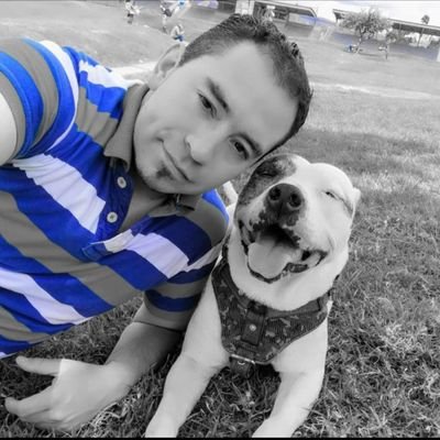 Maurici58865101's profile picture. 