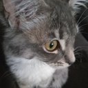 Xavier Wood - @xvcvgdvhbf - Twitter