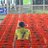 7Cricketing's profile image