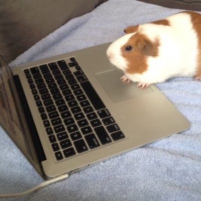 easy_nonV's profile picture. 자신을 믿고 최대한 견뎌보시길 바랍니다