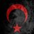 selcuk0230's profile image