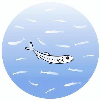 shirasunokaitai's profile picture. 