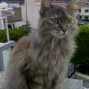 elly may - @ellymay9 - Twitter