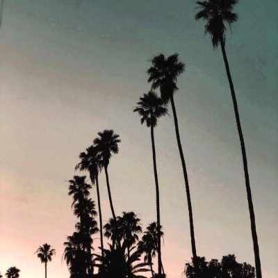 Hampton30M81853's profile picture. ❤️ Memecoin