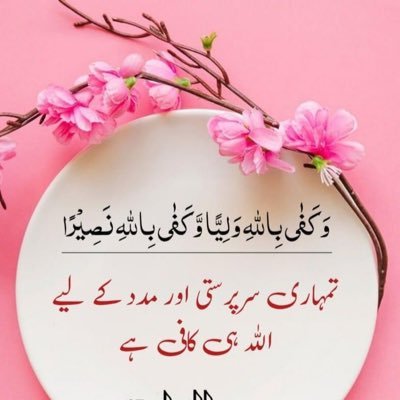 BadarSamina's profile picture. 