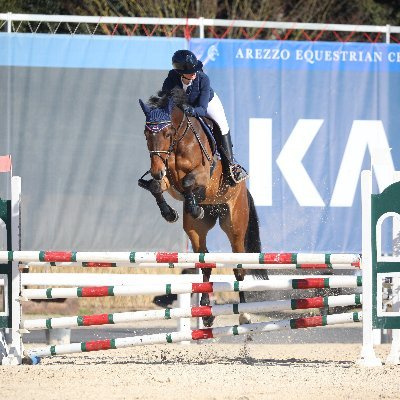 DafneBibiFerb's profile picture. 