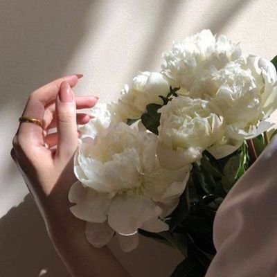 ﴿ أَلَا بِذِكْرِ اللَّهِ تَطْمَئِنُّ الْقُلُوبُ ﴾