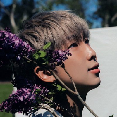 912blooms's profile picture. backup @912daze! 🌸