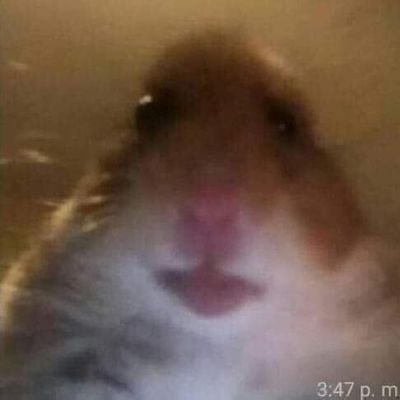 Challenq1's profile picture. 