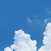 Shino Shino (@wpengpneg) 's Twitter Profile