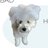 puchi_nuna's profile image