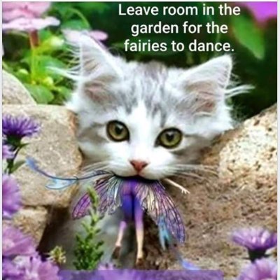 Lucie Zídková 🇨🇿🇷🇴🏴🇬🇧 🥳🚜🚜🚜