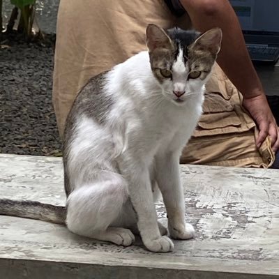 rrezza_as's profile picture. she/her | study acc