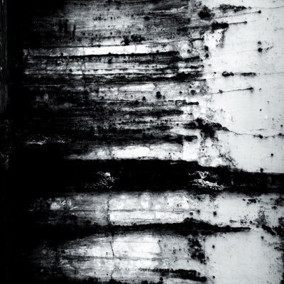 Sさんのプロフィール画像
