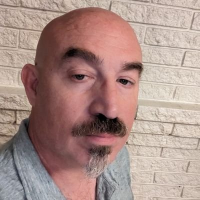 Megan05432191's profile picture. 