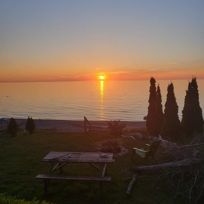 Jbowles44817069's profile picture. Crypto is a rabbit hole I never want to leave...