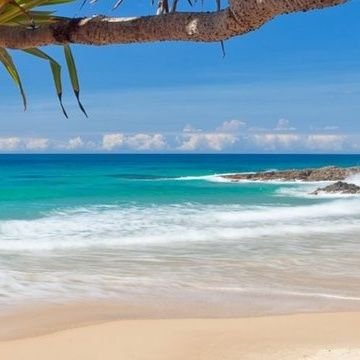 SkoorbAI's profile picture. 