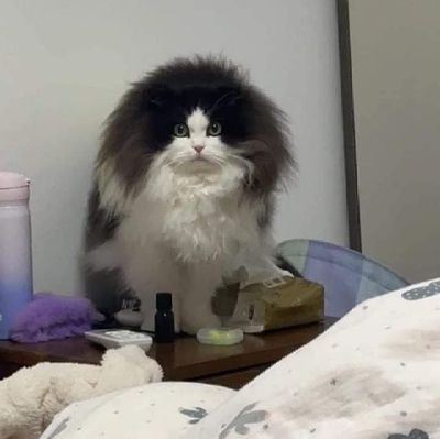 vivoyyun's profile picture. apa y