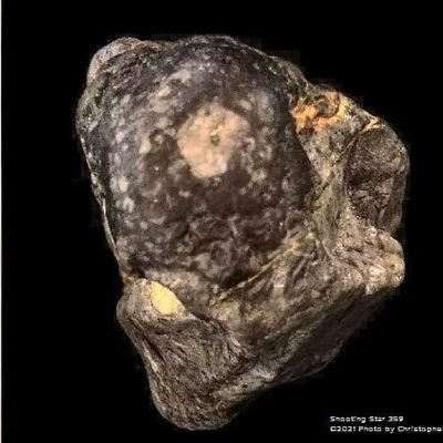 originsauction's profile picture. All unique items on auction with excellent condition and with a certificate of authenticity!  PLACE BID OR BUY NOW!
▶️ https://t.co/9tpRTYed4G