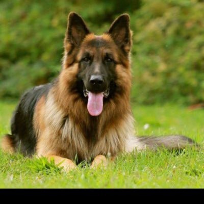 Joneslane10's profile picture. ❤️❤️❤️