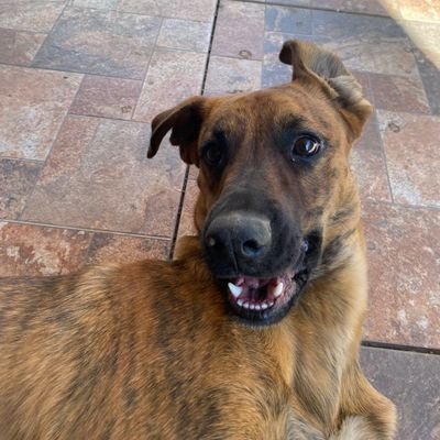 ccaviedesgomez's profile picture. 