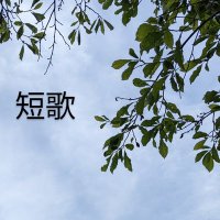 林 每茜 (@akane_tanka) Twitter profile photo