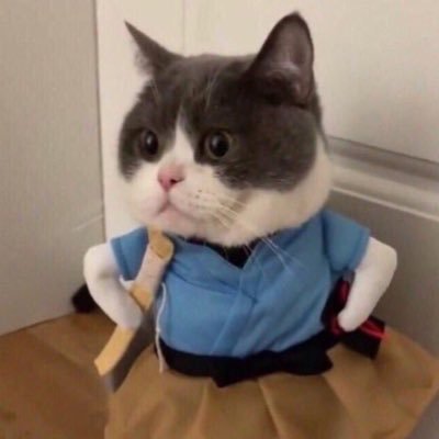 UxQtLYnFfVa7Eff's profile picture. MKT KKBS