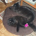 Derek Busby - @DerekBusby11 - Twitter