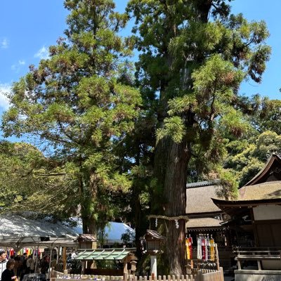 不動産投資家。京都を拠点に活動中。区分1件と戸建1件所有。目指せCF月20万円!第一号物件を修繕開始(2021/3/11)会社員→時々バックパッカー→区分大家→エンジニア転職活動→飽きて築古大家←今ここ