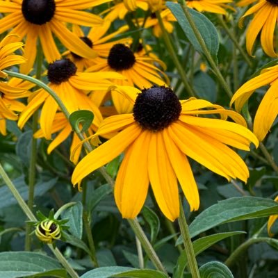 katc71's profile picture. 