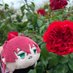 ジジ (@ri_shibe94939) Twitter profile photo ジジ (@ri_shibe94939) Twitter profile photo