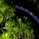 Leona Malone - @LeonaMa30290028 - Twitter