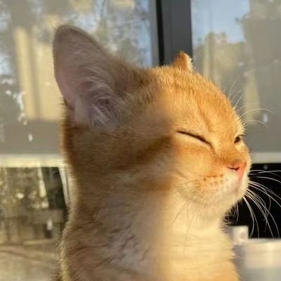 MagicNeko