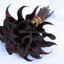 Thalia Saunders - @ThaliaSaunders - Twitter