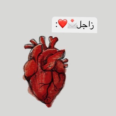 فضلا فولو ..بخاطرك كلام لشخص؟ وتبي توصله ماعليك الا ترسل الكلام مع اليوزر خاص وانا اوصله بدون مايعرف مين انت ♥️📩