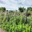 Phong Thach - @PhongTh83531998 - Twitter