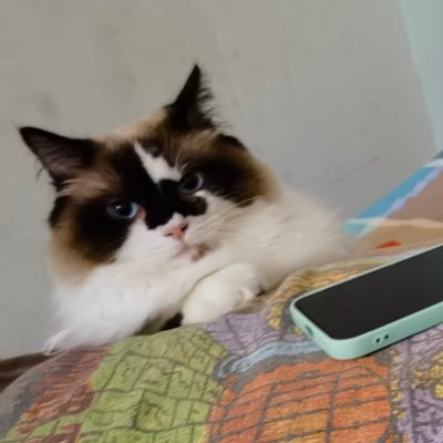 luna_yuhan's profile picture. Much love