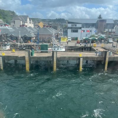 DudeDavie72's profile picture. 