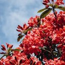 José Ignacio Otero - @JosIgnacioOter1 - Twitter