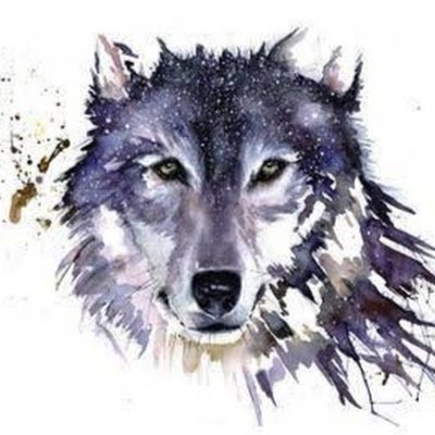 AkcnSmh's profile picture. 