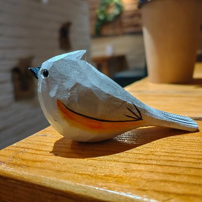 Lonely Swiftlet