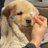 ppwpntutor's profile image